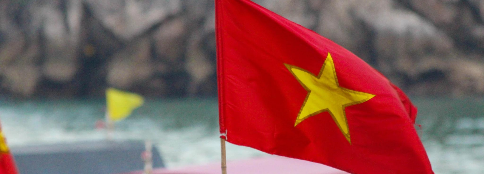 Vietnamese Flags
