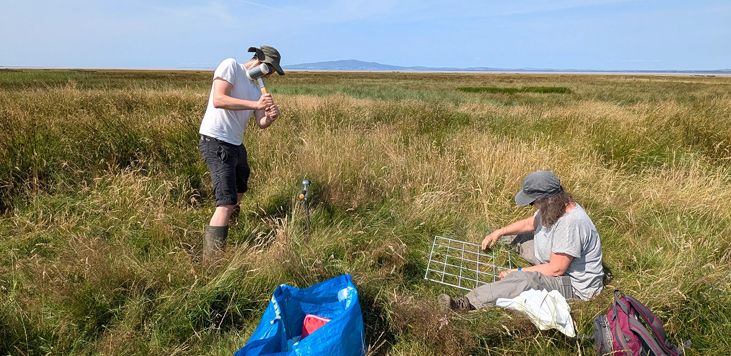 Assessing Carbon Stocks in Solway Salt Marshes