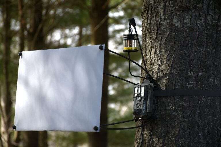 Monitoring biodiversity in the robotics age