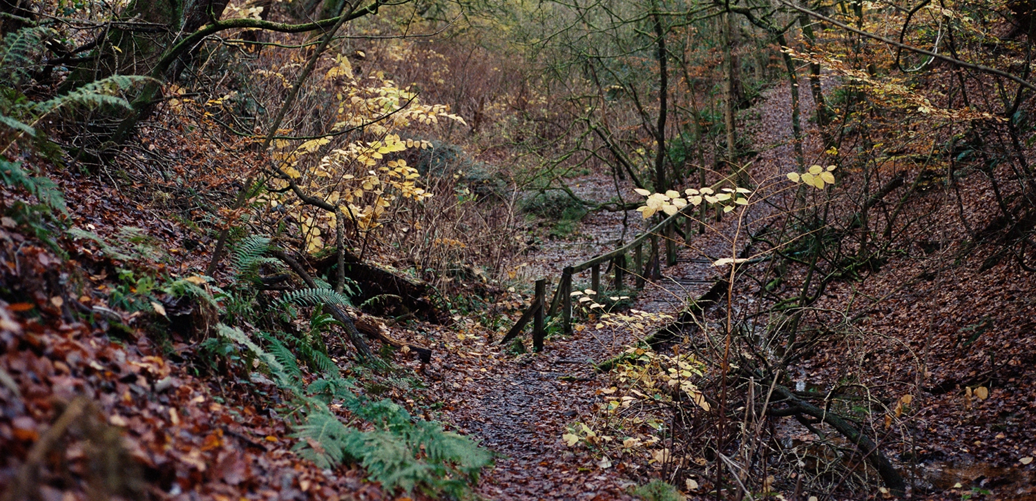 Bradley Brook: The benefits of Photography and Nature on Wellbeing