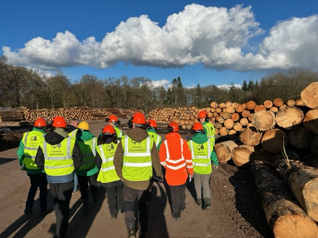 Professional Forester Degree Apprenticeship Launched