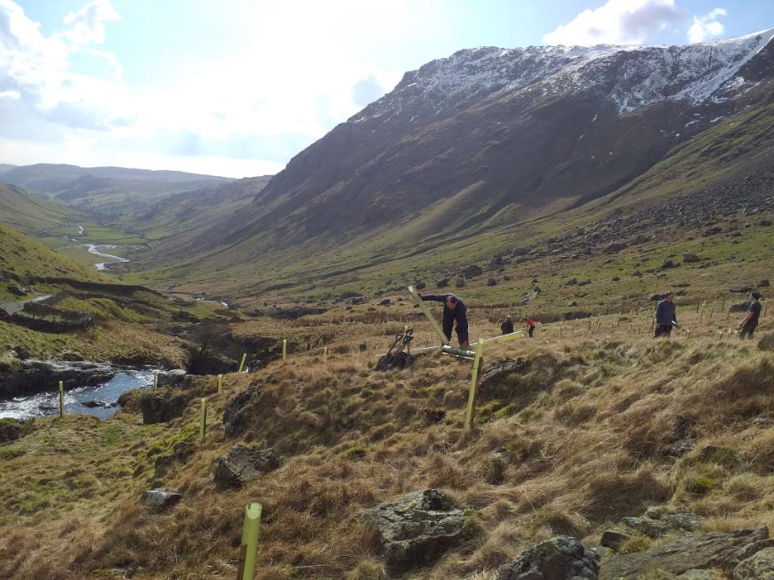 People working in a field.
