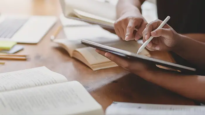 Research Excellence Framework (REF) 2029