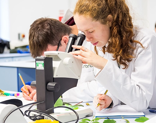 Undergraduate Courses