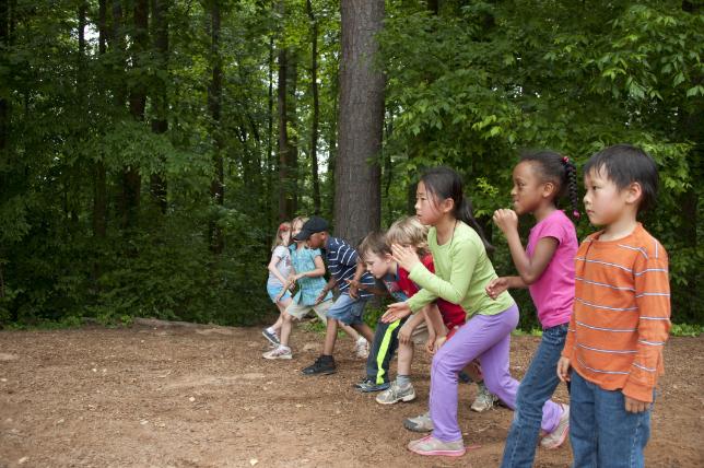 PGCE General Primary with QTS - Environmental and Outdoor Learning Specialism