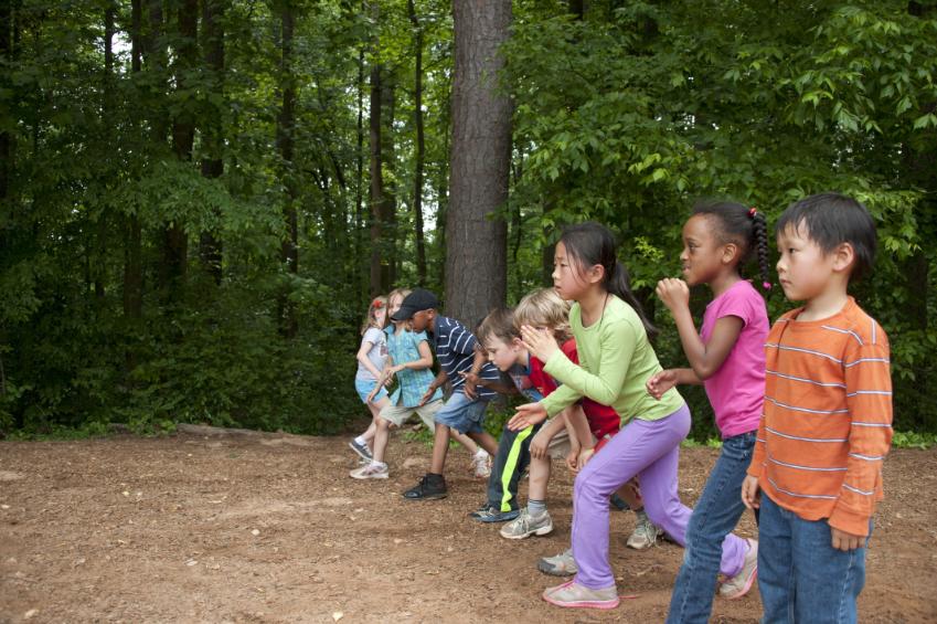 General Primary with QTS - Environmental and Outdoor Learning Specialism cover image