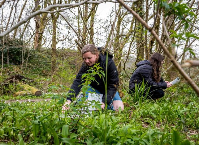 MSc Forest Science 