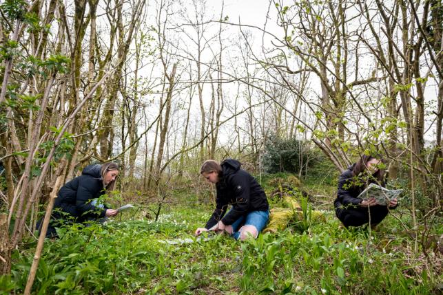 BSc (Hons) Ecology and Wildlife Conservation (With Integrated Foundation Year)