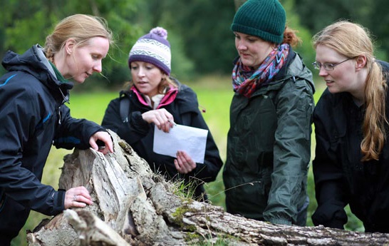 BSc (Hons) Forest Management with Integrated Foundation Year