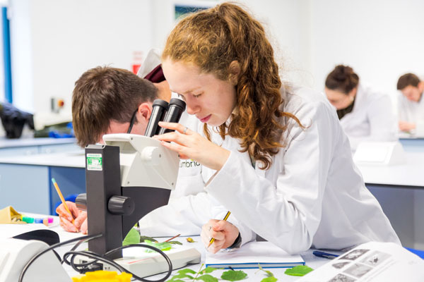 undergraduate research courses