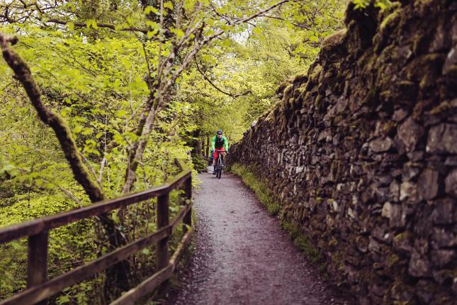 BSc (Hons) Woodland Ecology and Conservation