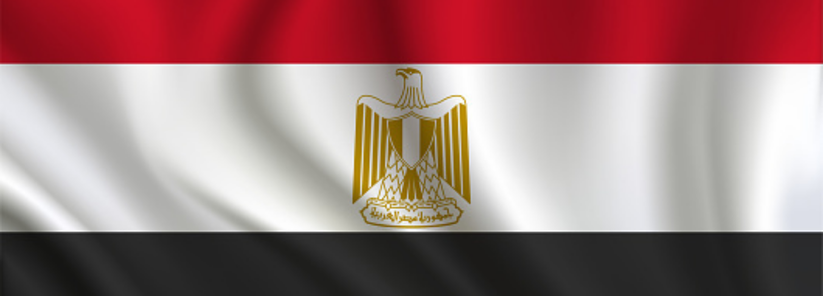 The Egyptian flag.